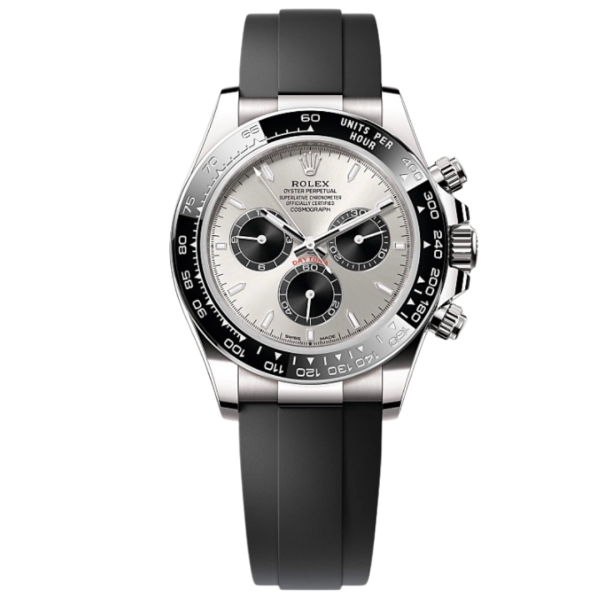 Cosmograph Daytona Oyster, 40 mm, white gold Reference 126519LN