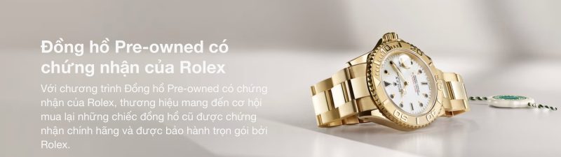 tất cả các mã rolex